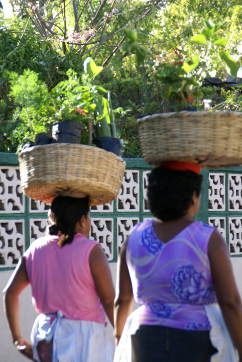 BasketLadies-resize.JPG